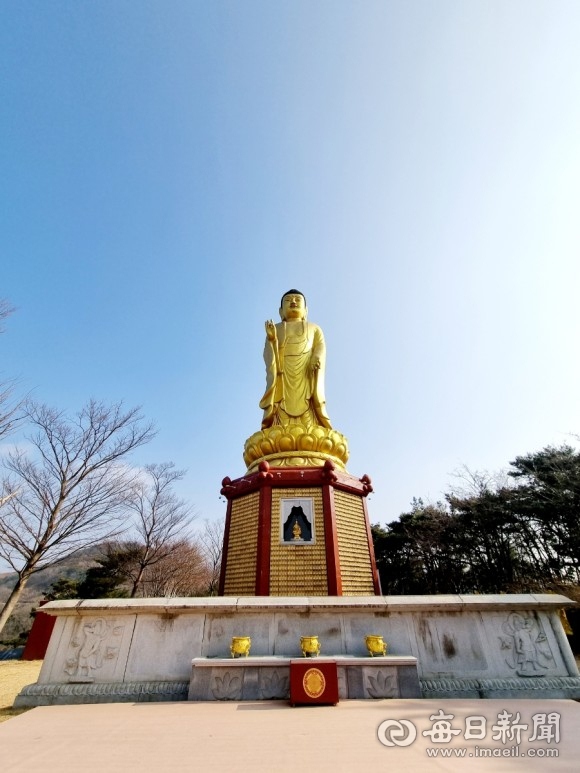 만불사 영천대불. 매일신문DB
