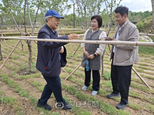 (사)에밀타케식물연구소 정홍규 이사장과 경주시 도시공원과 정경자 과장, 김연수 공원조성팀장(사진 왼쪽부터)가 경주 황성공원 도시바람길숲에 식재된 제주 자생종 왕벚나무들의 생육 상태를 살펴본 후 이야기를 나누고 있다, 김진만 기자