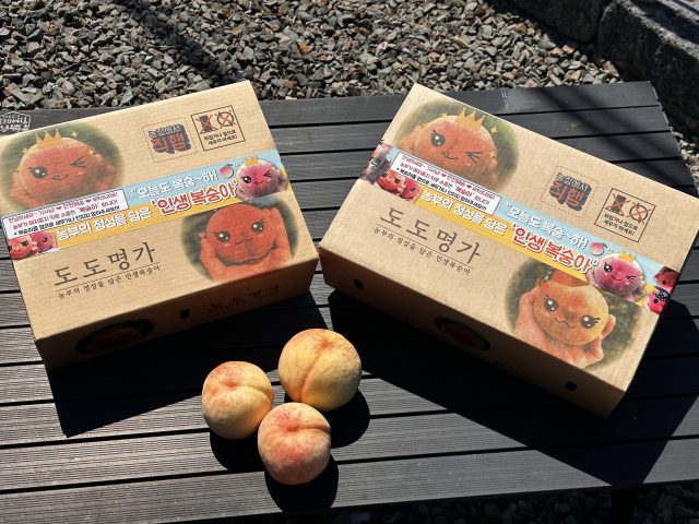 박청목 씨는 직접 복숭아 판매 박스를 디자인해 소비자에 선보이고 있다. 본인 제공