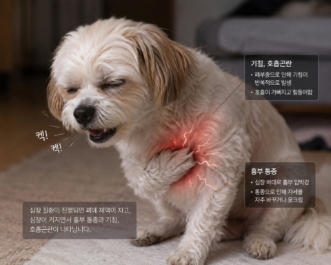 [박순석의 동물병원 24시] 반려견 심장수술 받는 시대