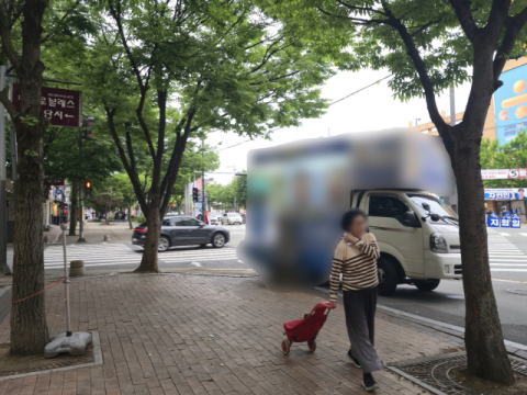 인도 알박기 주차에 현수막 공해까지…선거운동은 치외법권?