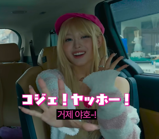 '거제 야호'가 던진 질문 