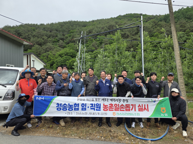 청송농협은 지난달 21일부터 28일까지 5영업일 동안 지역 사과 재배 농가를 대상으로 농촌일손돕기 봉사활동을 실시했다. 청송농협 제공