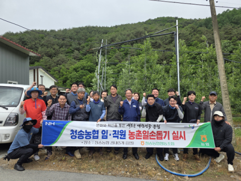 적과철 사과밭에 70명 떴다…청송농협, 농가 시름 덜어