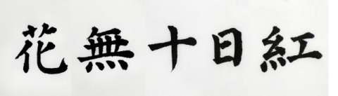 [뉴스로 보는 고사성어]<24>화무십일홍(花無十日紅), 