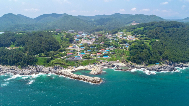 과거 천지원전 예정지였던 영덕군 석리 일대 전경. 현재는 산불로 민가는 모두 소실됐다. 영덕군 제공