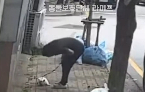 광주 동물학대 의혹 영상 갈무리. 동물보호단체 