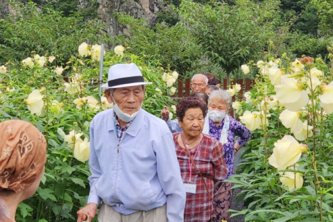 숲길 걷고 꽃차 마시며 마음 치유…청송 '고마움' 도내 7곳뿐인 품질인증