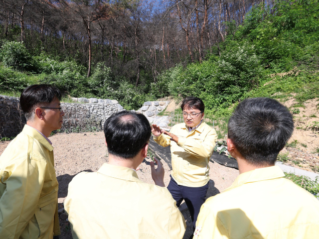 산림청, 청송 산불 피해지 복구 총력…