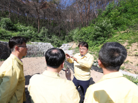 산림청, 청송 산불 피해지 복구 총력…