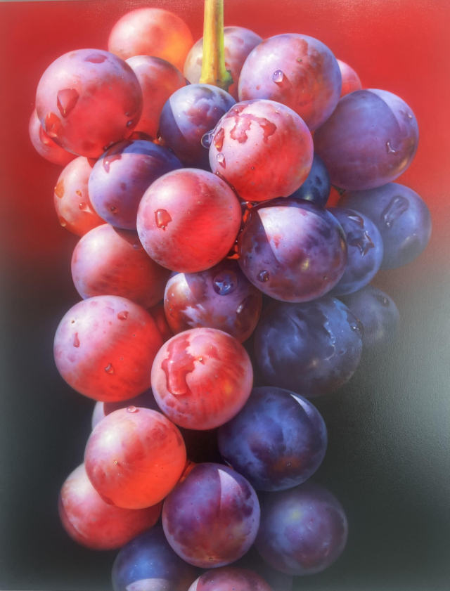 김대연, 결실, 2026, 100x80.3cm