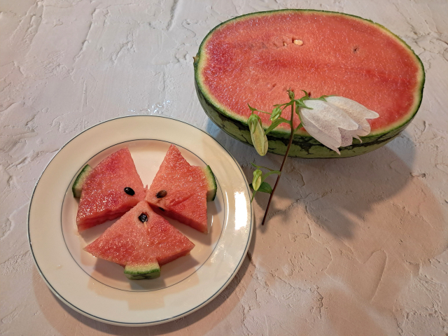 수박