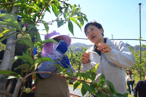 외국인 계절노동자 인권 실태, 농식품부·법무부가 직접 점검한다