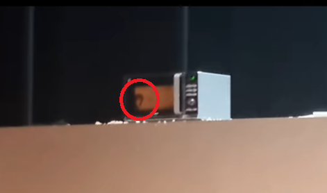 무대 위서 산낙지 찢고 문어 전자레인지에…'동물 학대' 논란에 사과