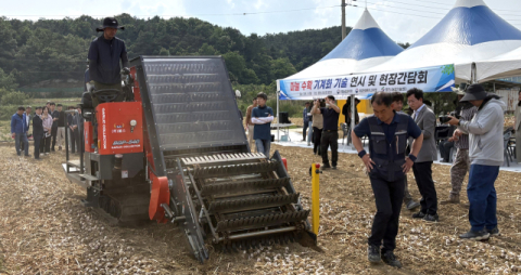경북 영천시, 마늘 수확 작업 기계화 및 농가 경영 효율화에 주력