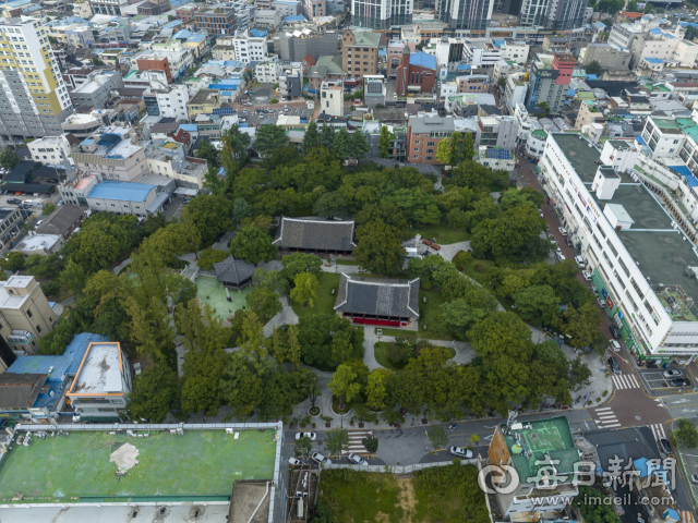 대구 경상감영공원 전경. 나무와 산책로의 비중이 큰 수림형 공원이다. 매일신문DB