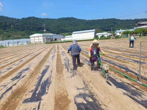 군위군–경북대, '올레산' 4배 많은 기능성 콩 재배 기술 실증 나서