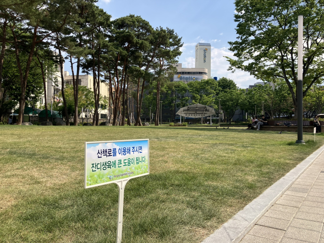대구 중구 2.28중앙기념공원 잔디광장. 황희진 기자
