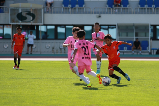 지난해 상주유소년축구페스티벌 장면. 고도현 기자