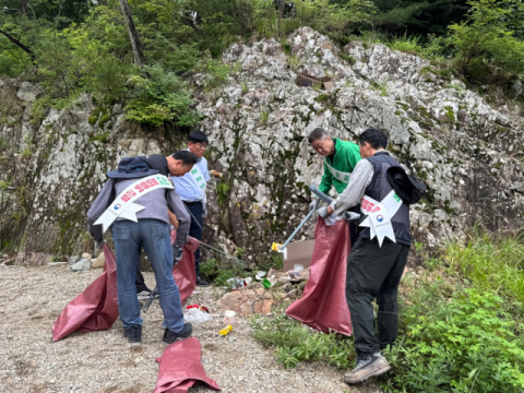 산림청, 포항 하옥계곡서 산림정화 캠페인