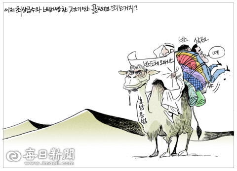 [매일희평] 돼지들 눈엔 이렇게 보임