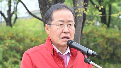 [속보] '삼전닉스 호남行' 가능성에 홍준표 