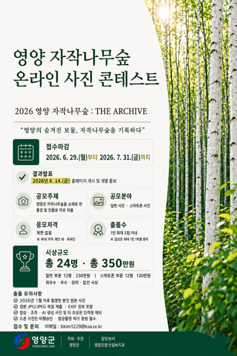 영양군, 자작나무숲 온라인 사진 콘테스트 개최