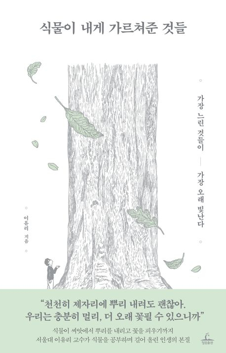 서두르지 않아도 괜찮아요, 당신의 뿌리는 지금 이 순간에도 자라고 있으니