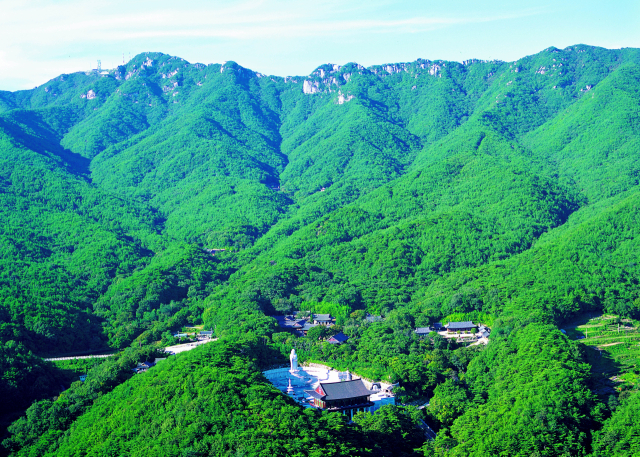 팔공산 전경. 대구시 제공.