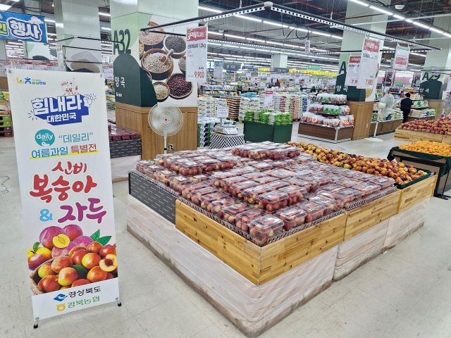 서울 도봉구 하나로마트 창동점에서 진행되고 있는 경북도 통합과수 브랜드 