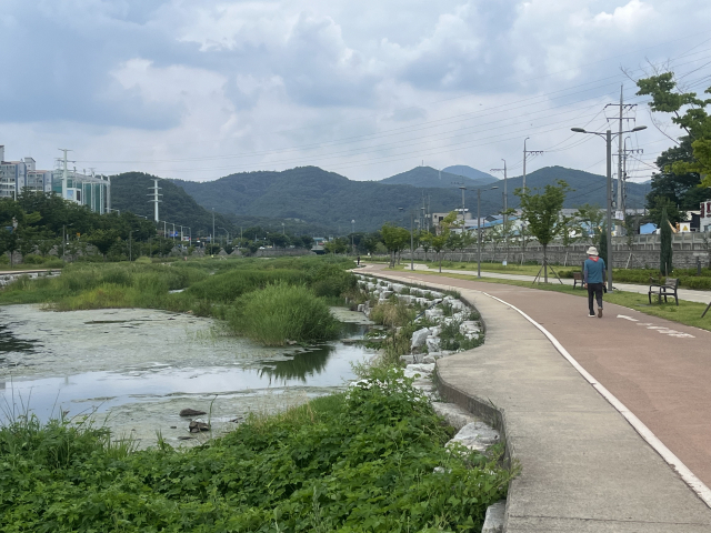 전쟁의 흔적은 사라지고, 풀과 물고기가 자라는 동화천 산책길을 주민들이 걷고 있다. 정두나 기자.