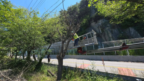 조림목 생육부터 재해 예방까지…봉화군, 산림 관리 강화