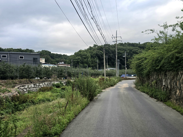 지난 8일 방문한 대구 동구 평광지구 모습. 마을 대부분을 차지하고 있는 이면도로 양 가장자리에는 낙상을 막을 만한 어느 보호 시설물도 설치되지 않았고, 가로등도 찾기 어려웠다. 김지효 기자