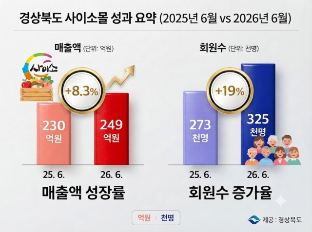 2025년 상반기 대비 사이소 매출액. 경북도 제공.