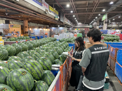 대구시, 폭염 속 여름철 '시민 먹거리' 특별 안전 점검 나선다