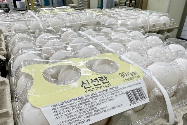 국내 최초로 도입된 브라질산 신선란이 통관 절차를 기다리고 있다. 2026.7.13. 한국농수산식품유통공사(aT) 제공
