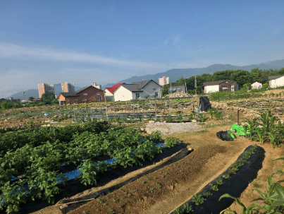 경상북도 영주시 풍기읍 동부리 전