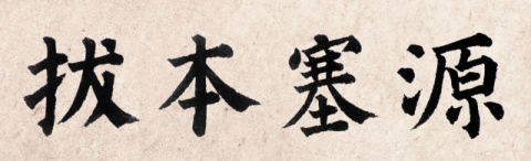 [뉴스로 보는 고사성어]<30회>발본색원(拔本塞源), 