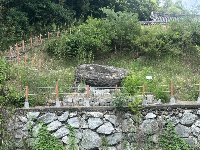 봉무정과 하천 사이에 옮겨진 독좌암의 모습. 여름철 무성하게 자란 풀숲 사이로 오랜 세월을 견딘 바위가 보인다. 정두나 기자.