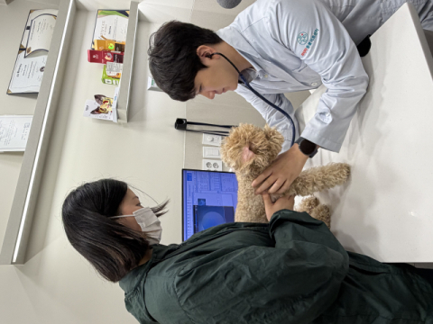 1조원 투입에도 지역의료 격차 여전…3조6천억 승부수 통할까