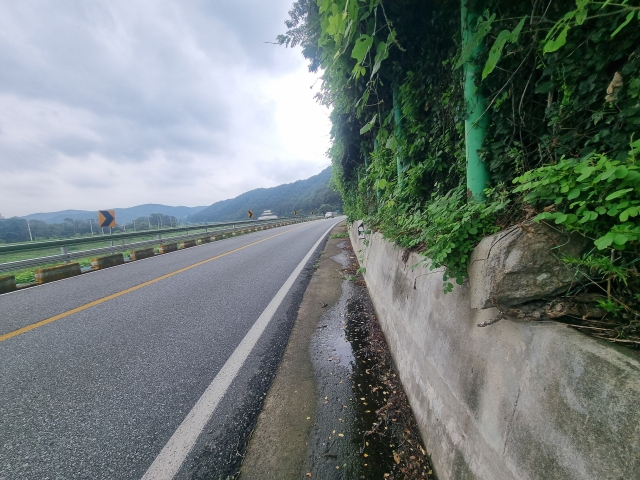 대구시 군위군 대흥교 인근 도로 바로 옆에 급경사지에서 흘러내린 암석이 철조망을 뚫고 나와 있다.