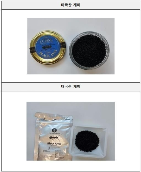 '식용 불가' 개미 올린 미슐랭 2스타 레스토랑…검찰, 대표 징역 1년 구형