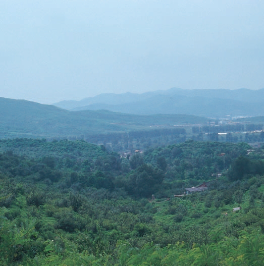 安市城으로 추정되는 랴오닝성(遼寧省) 잉청쯔(英城子)의 산성 내부. 둘레가 4km에 불과하다. 安市城은 李世民이 이끄는 唐軍과 90일간 공방전을 펼쳐 승리.