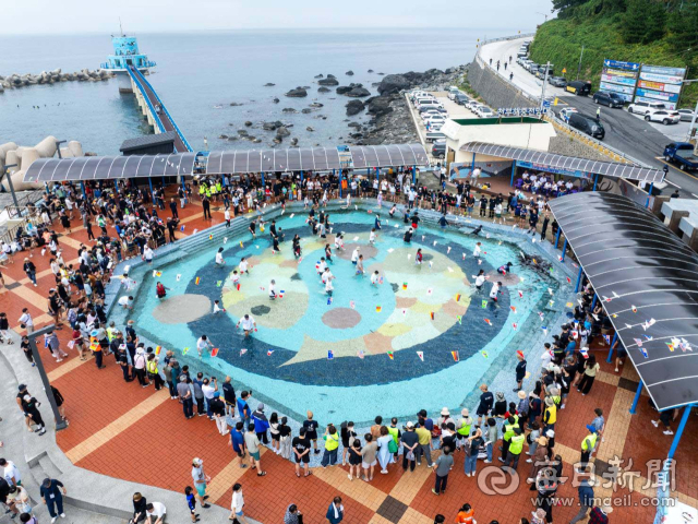울릉도 오징어 축제 부대행사로 열린 오징어 맨손잡기체험에 많은 관광객이 몰렸다.울릉군 제공