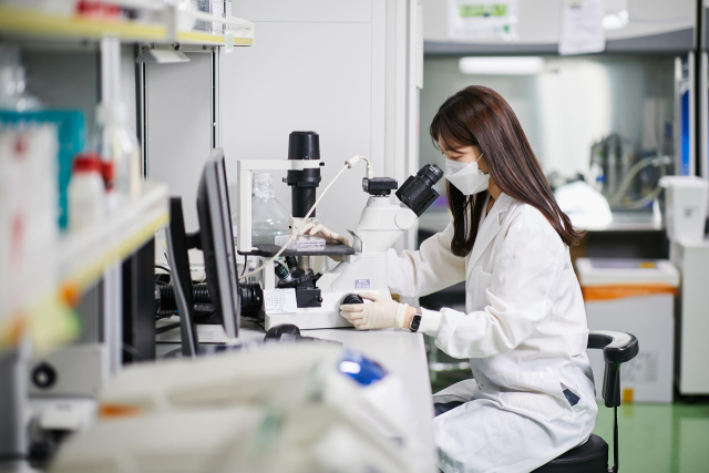 케이메디허브, 꿀에서 분리한 골질환 예방&치료 유산균 추출 기술이전해