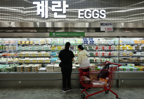 정부, 계란·고등어 공급 확대 총력…수입선 다변화로 밥상물가 잡는다(종합)