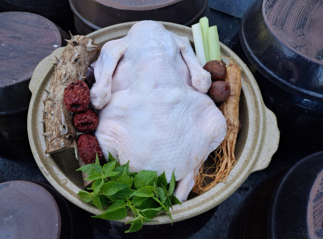 오리 보양식