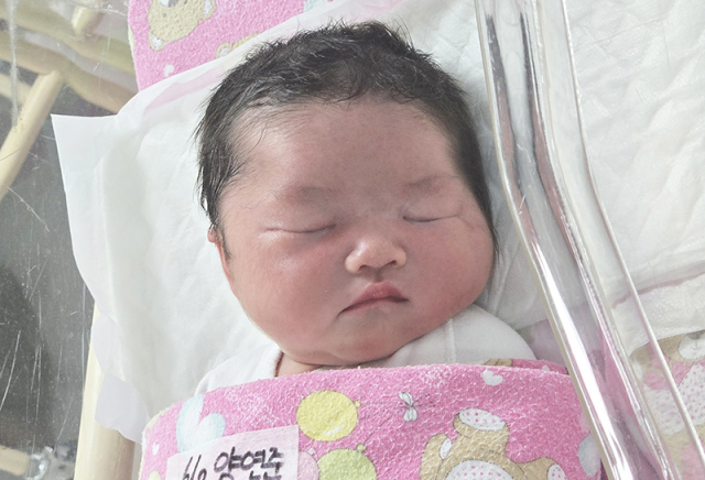 양연준 산모 아기
