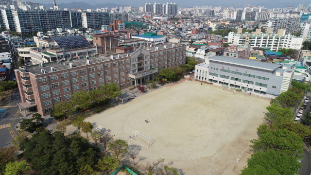 교육부의 