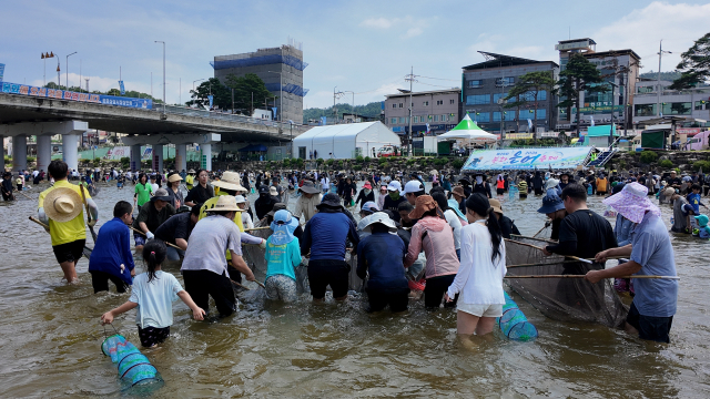 봉화은어축제는 지난 2일 내성천 특설무대에서 열린 폐막공연과 불꽃쇼를 끝으로 막을 내렸다. 봉화군 제공